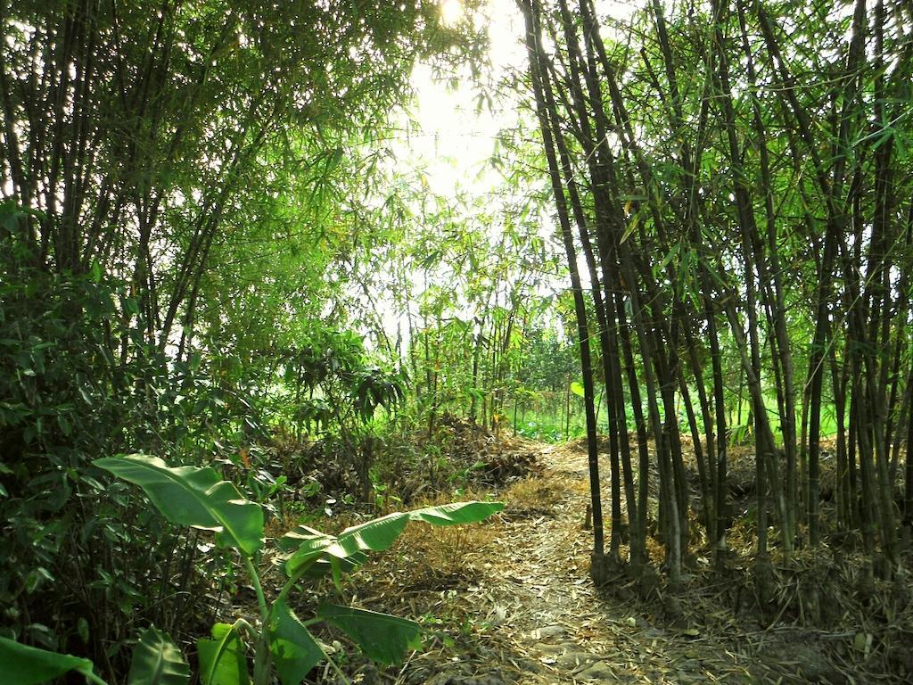 Green Village 1 Can Tho Exterior foto